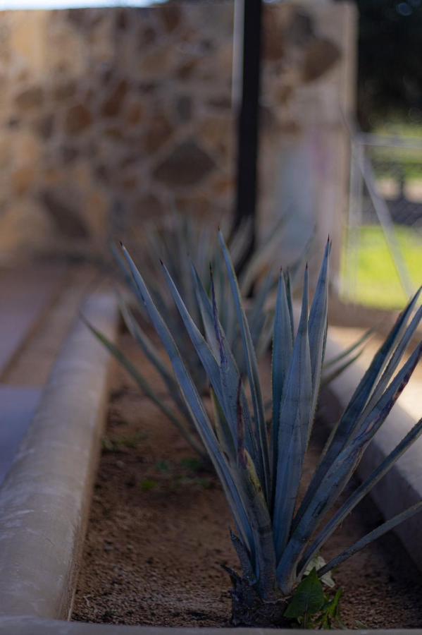 Catrina Valle - Ubicacion 10 Valle de Guadalupe Exterior photo